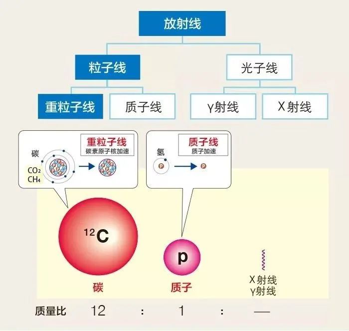 微信图片_20221009012509.jpg