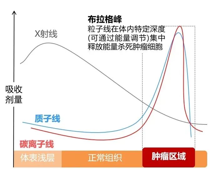 微信图片_20221009014621.jpg