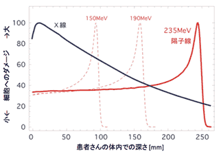 解析你不知道的“抗癌利器”——质子重离子治疗